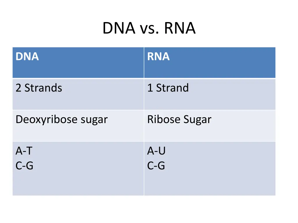 dna vs rna