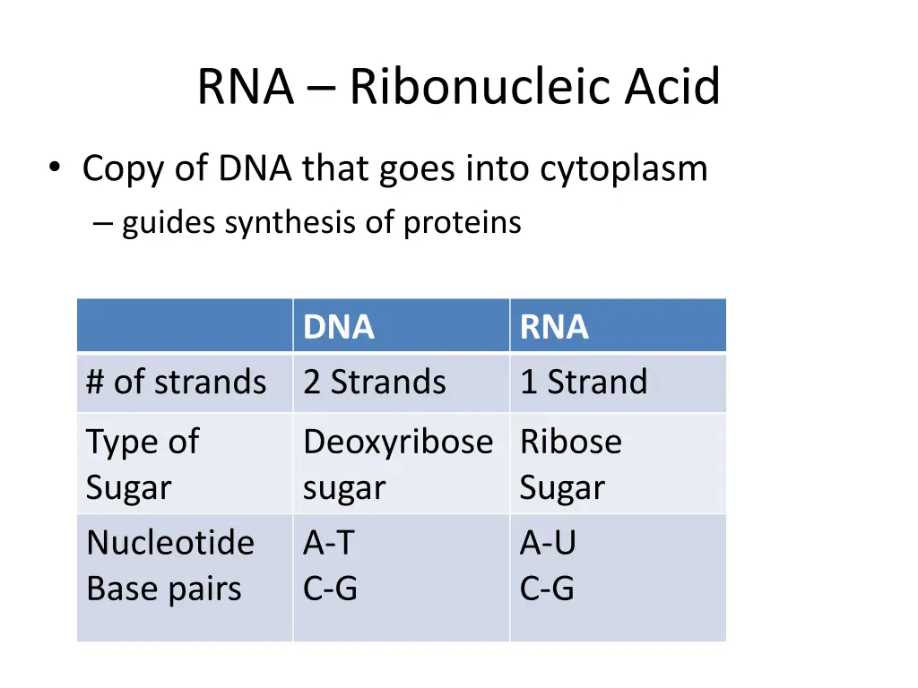 rna ribonucleic acid