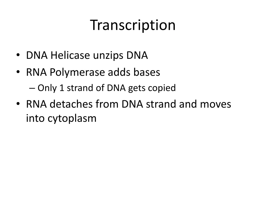 transcription 2