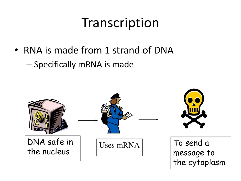 transcription