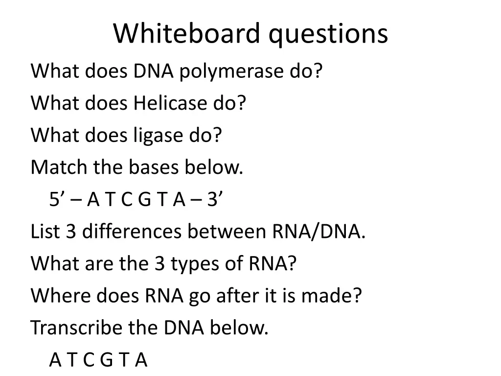 whiteboard questions what does dna polymerase