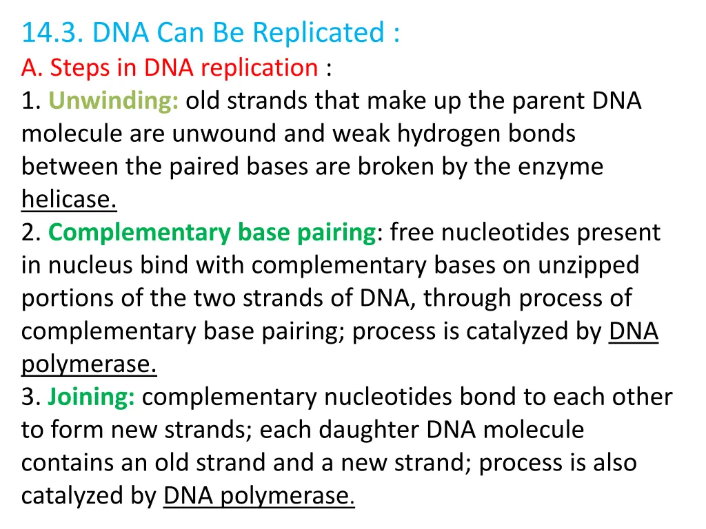 14 3 dna can be replicated a steps