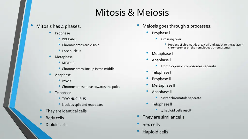 mitosis meiosis