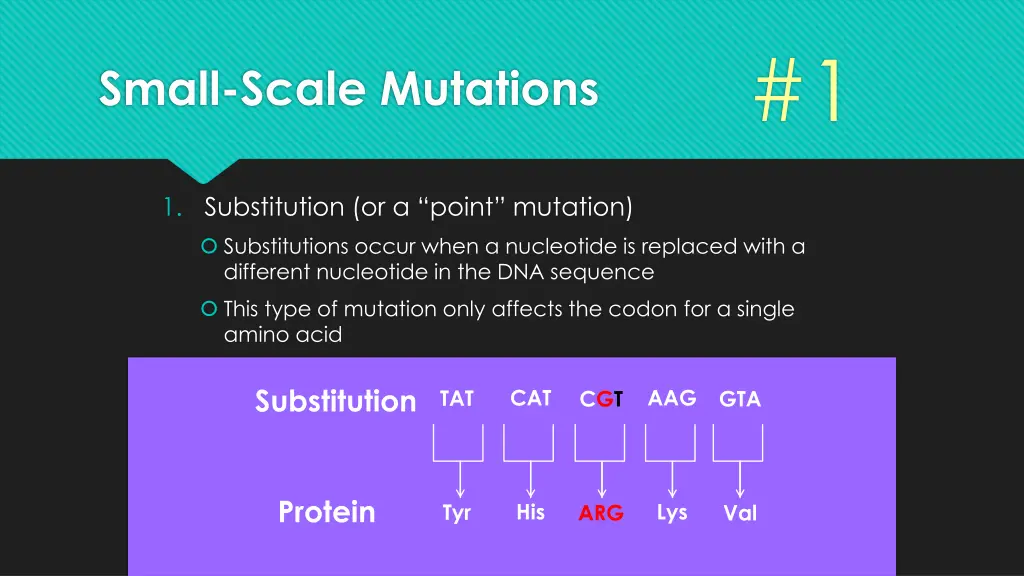 slide19