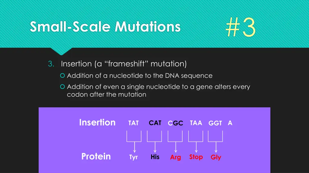 slide21