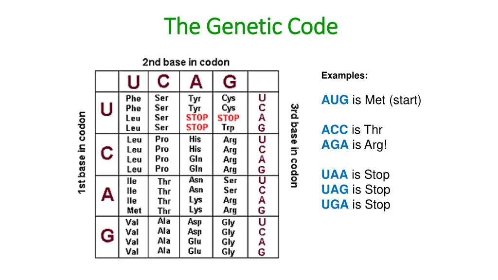 the genetic code the genetic code