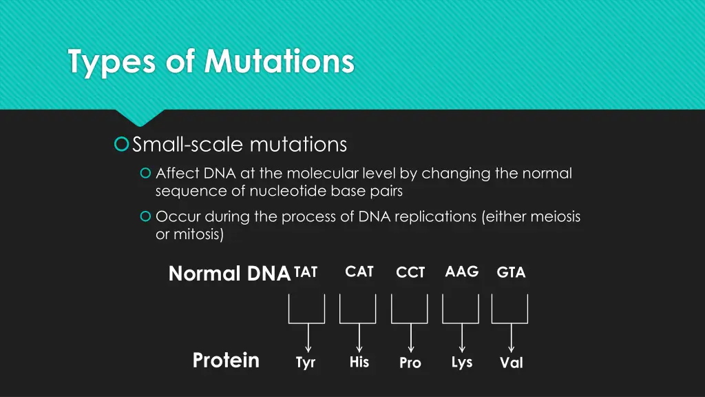 types of mutations