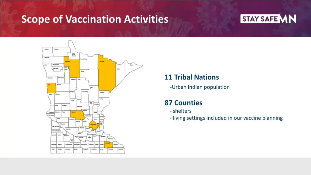 scope of vaccination activities