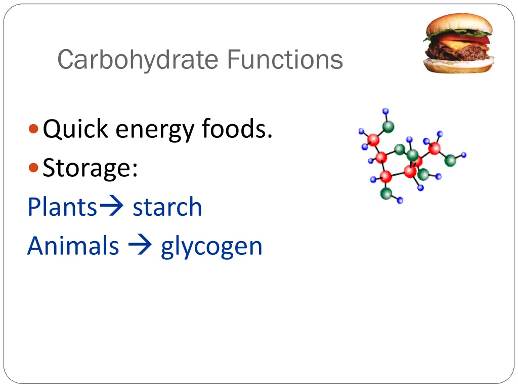 carbohydrate functions