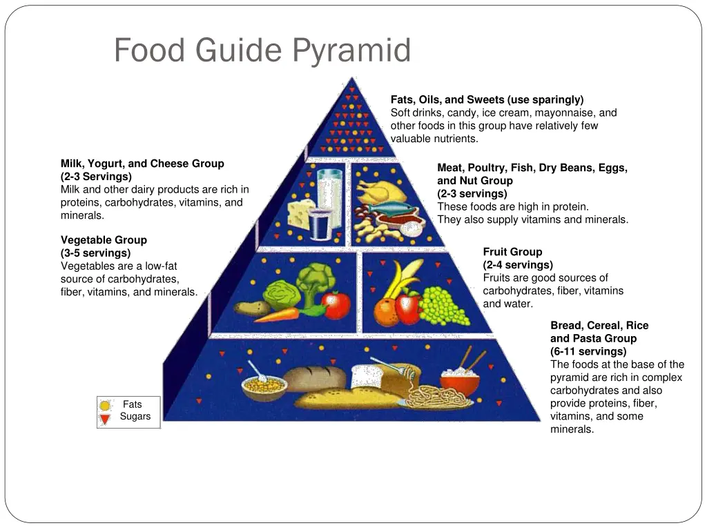 food guide pyramid section 38 1