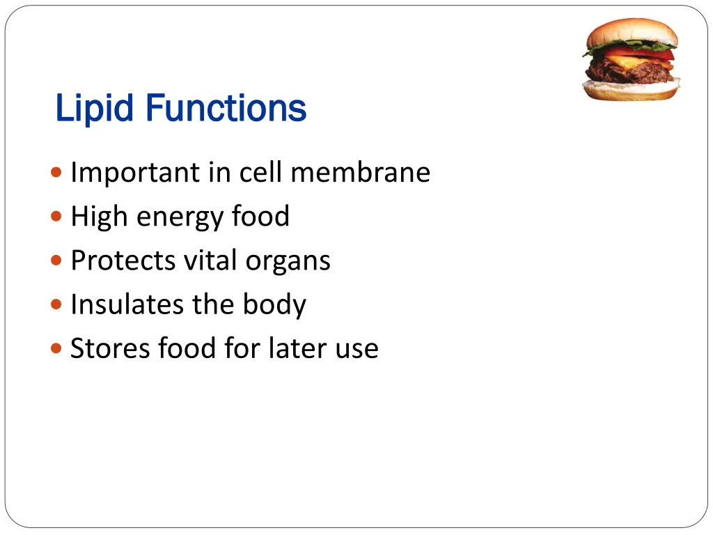 lipid functions lipid functions