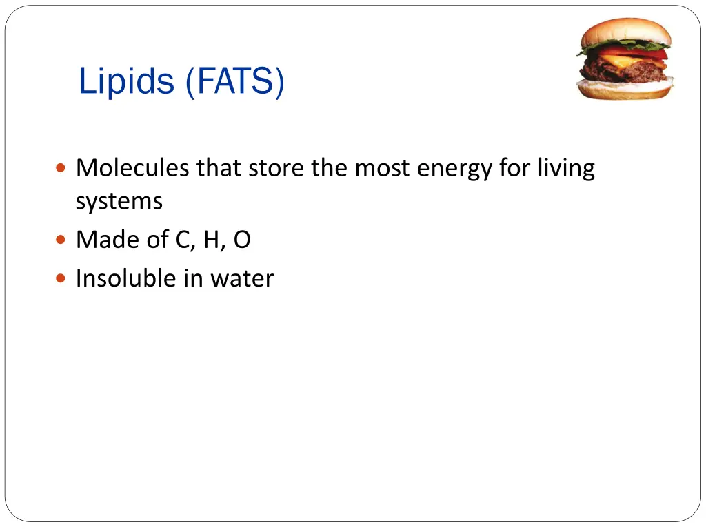 lipids fats