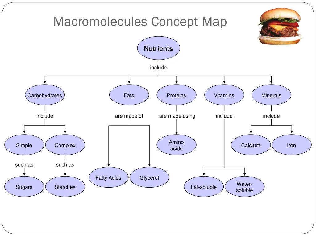 macromolecules concept map section 38 1