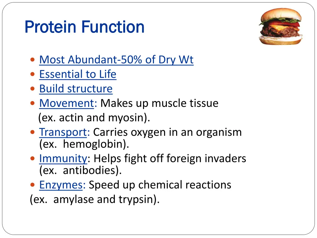 protein function protein function