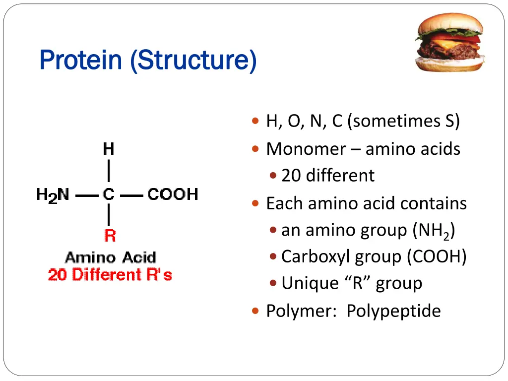 protein structure protein structure