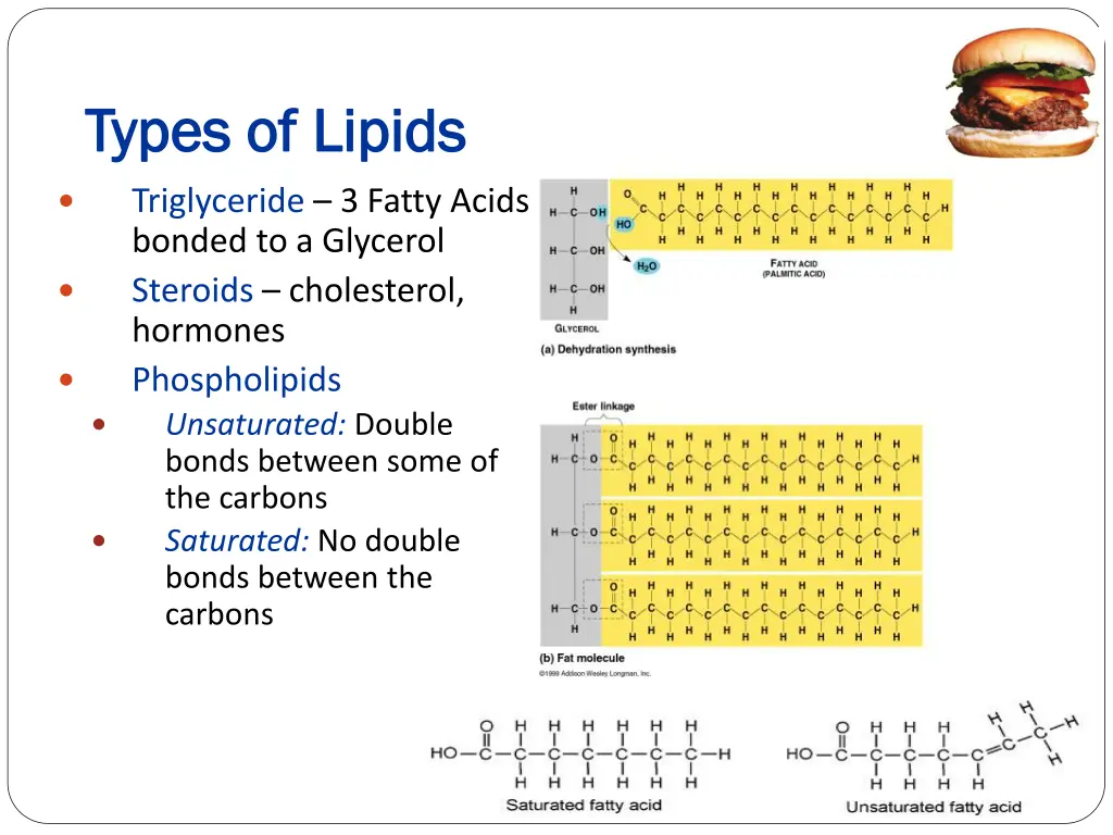 types of lipids types of lipids