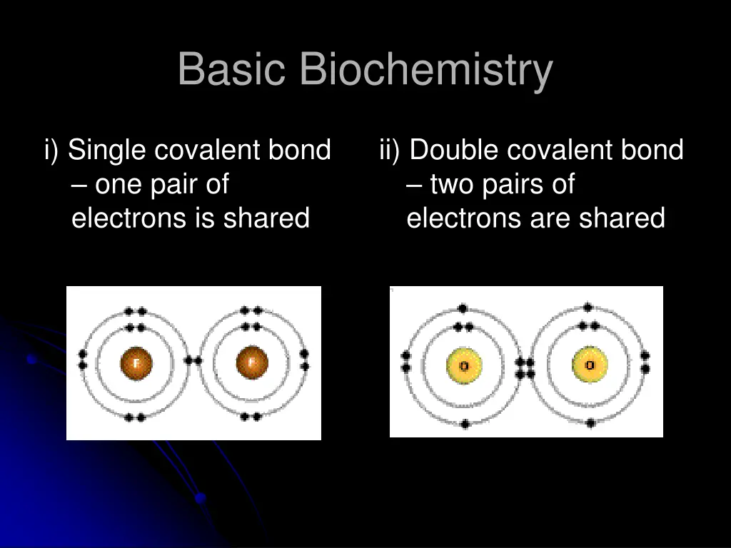 basic biochemistry 11