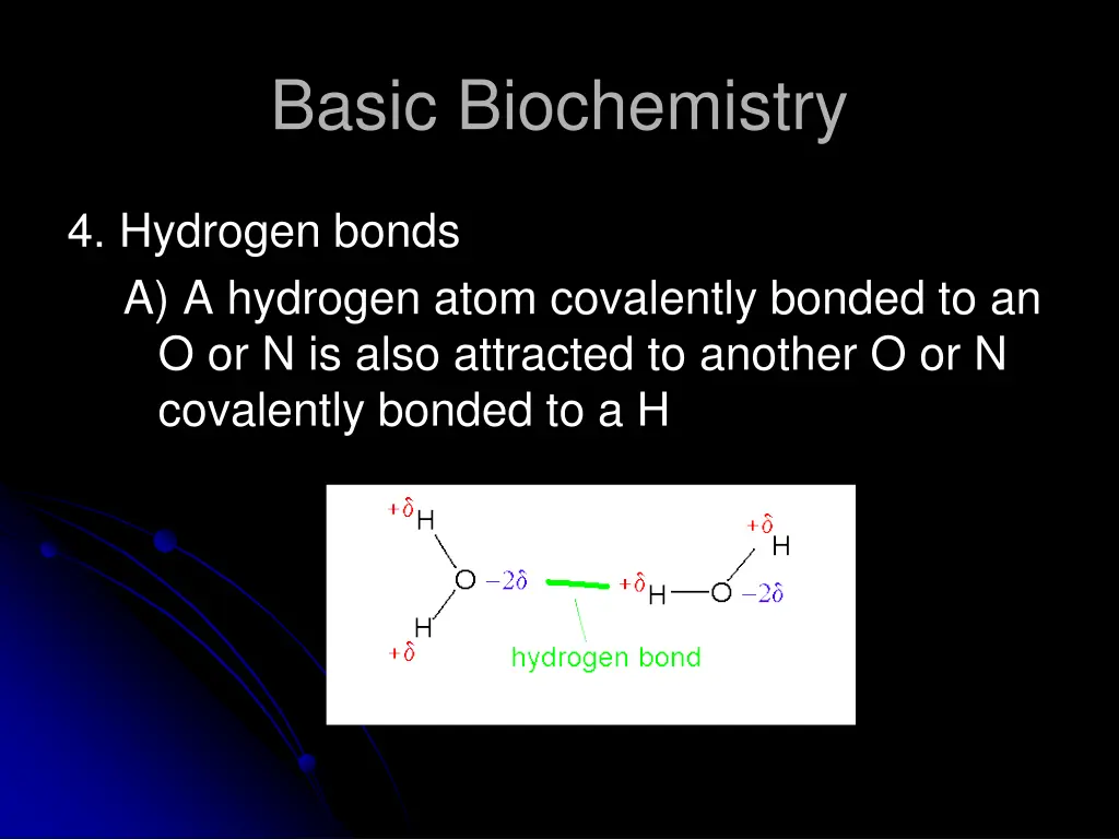 basic biochemistry 19