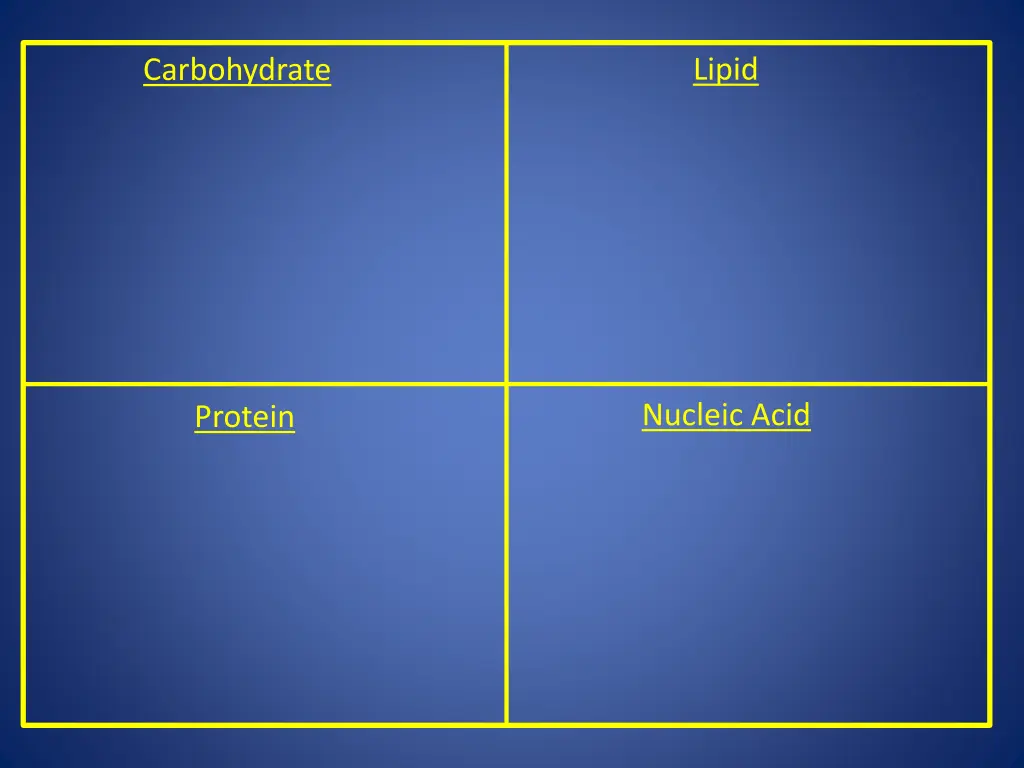 lipid