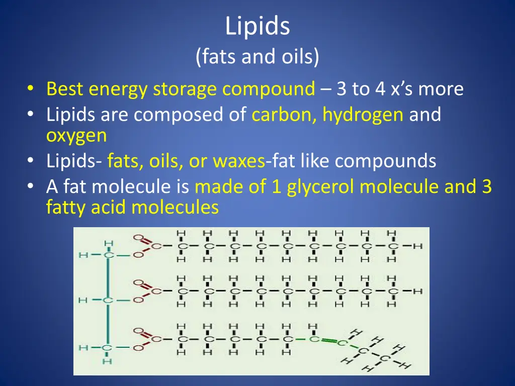 lipids fats and oils