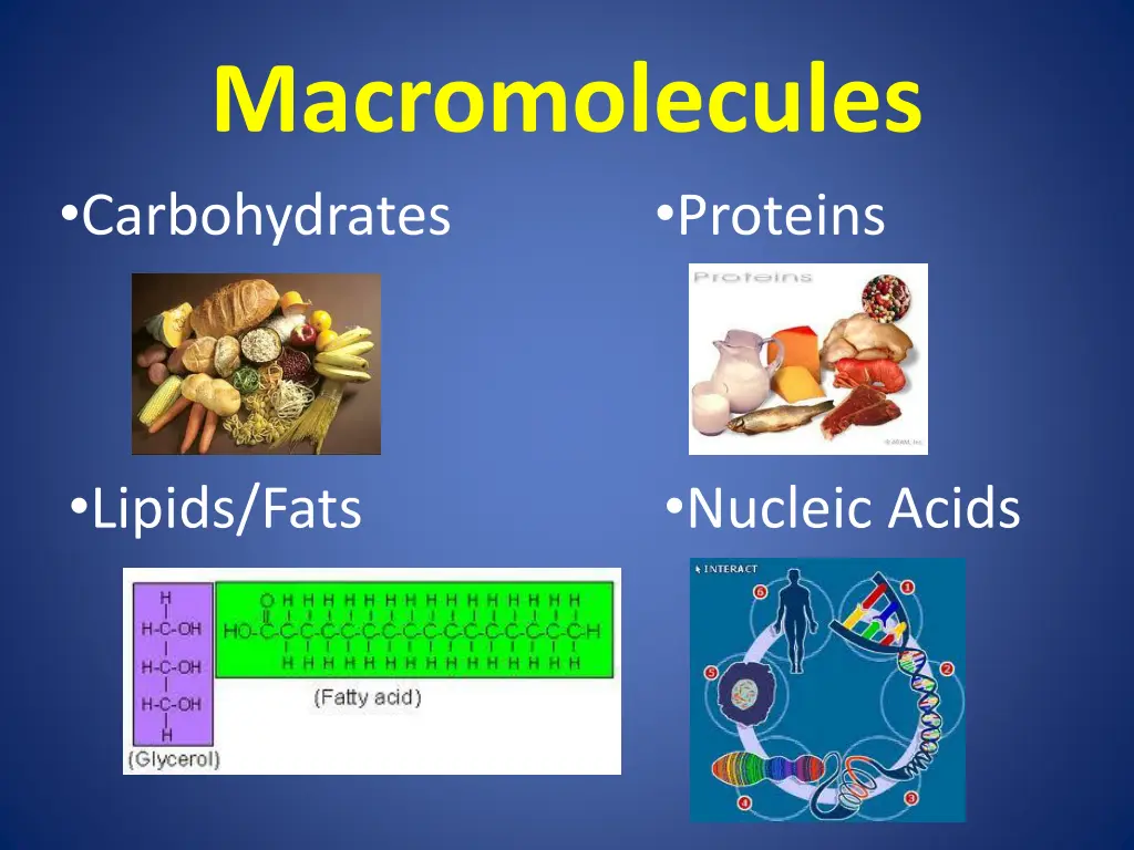 macromolecules carbohydrates