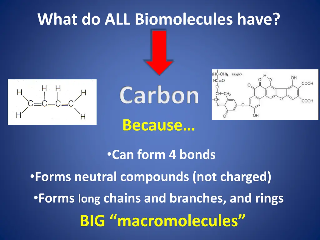 what do all biomolecules have