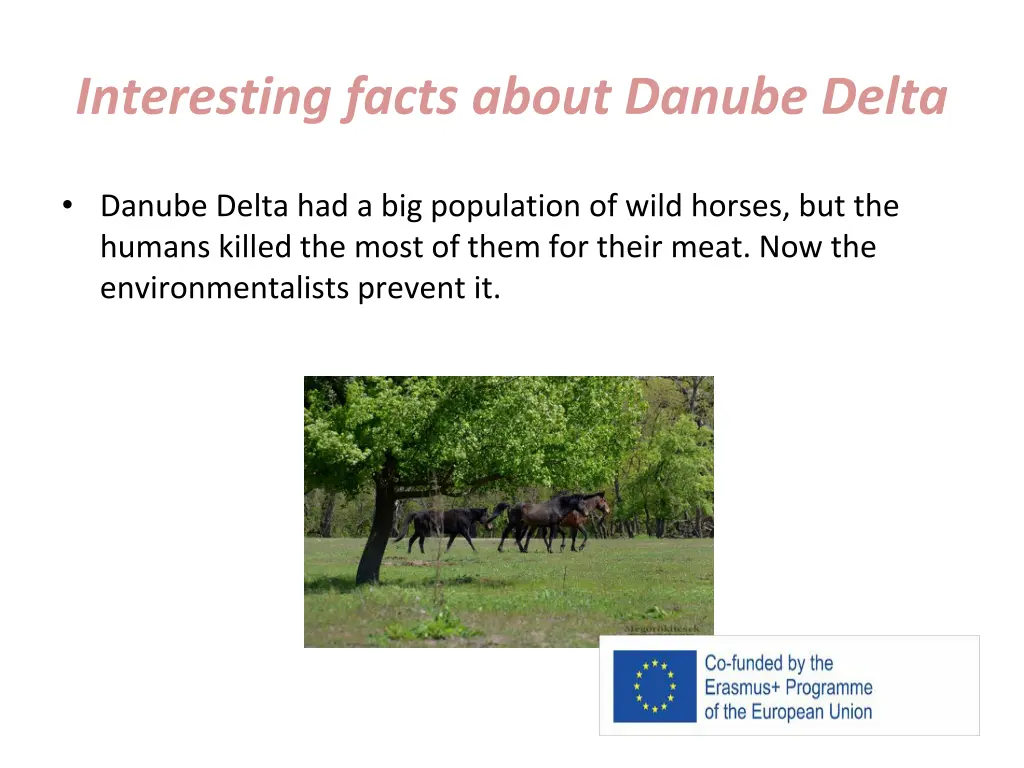 interesting facts about danube delta