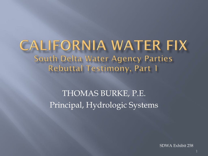 thomas burke p e principal hydrologic systems