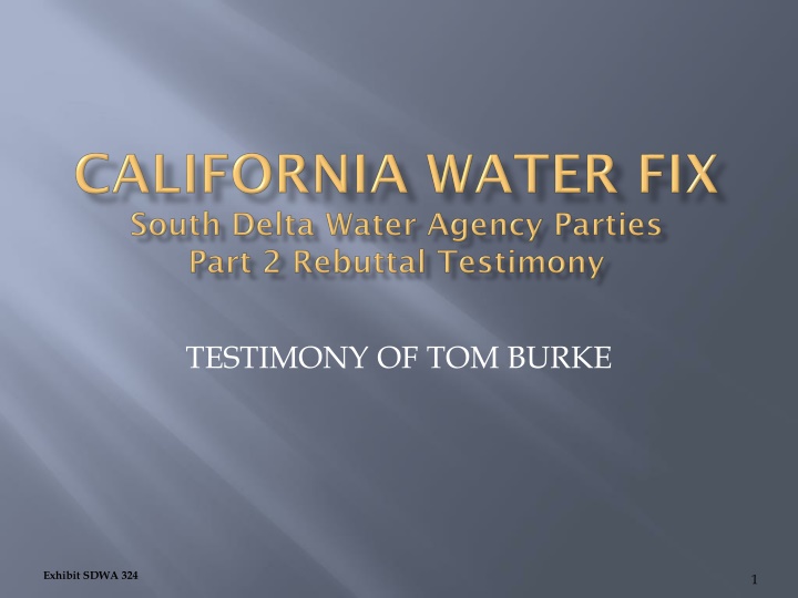 testimony of tom burke