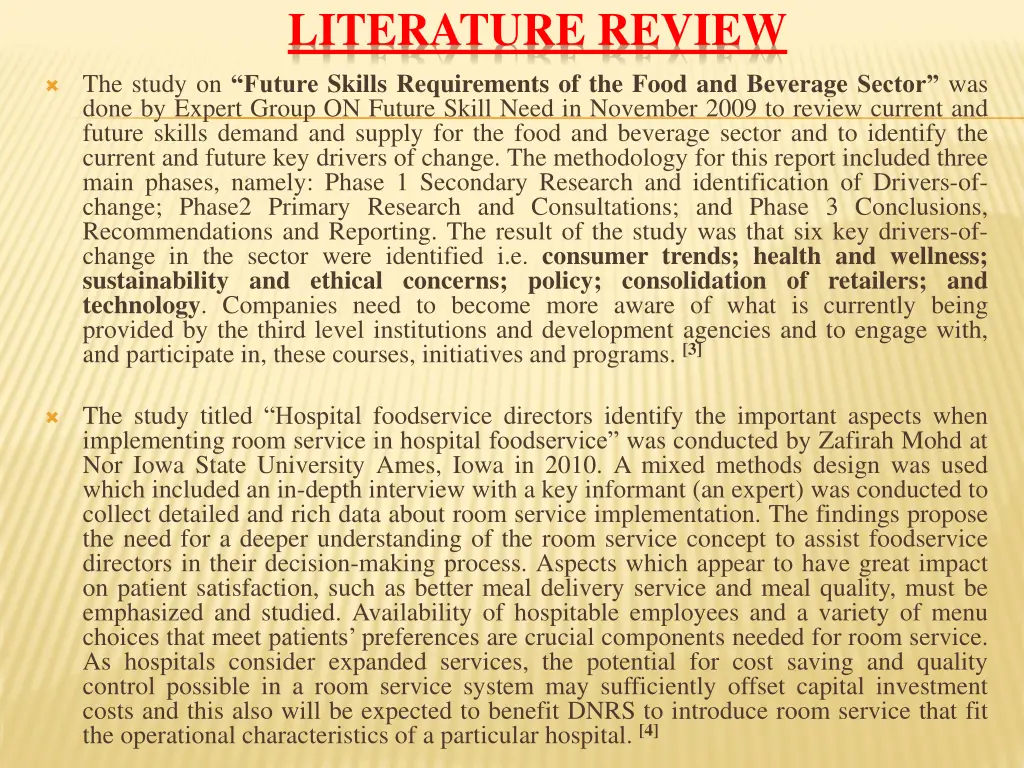 literature review