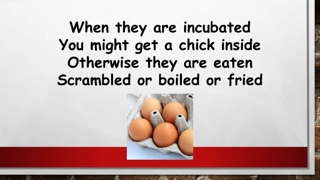 when they are incubated you might get a chick