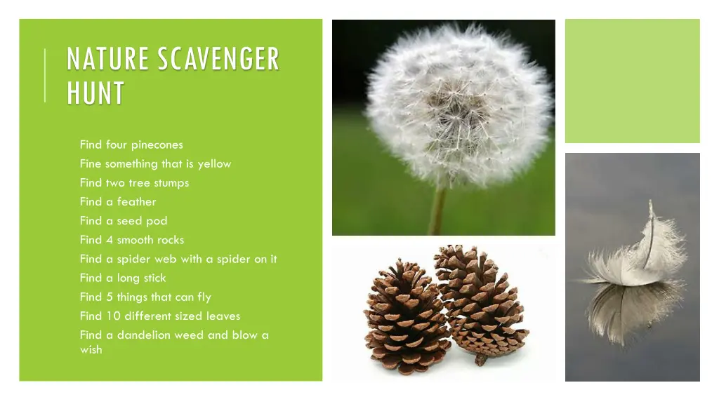 nature scavenger hunt