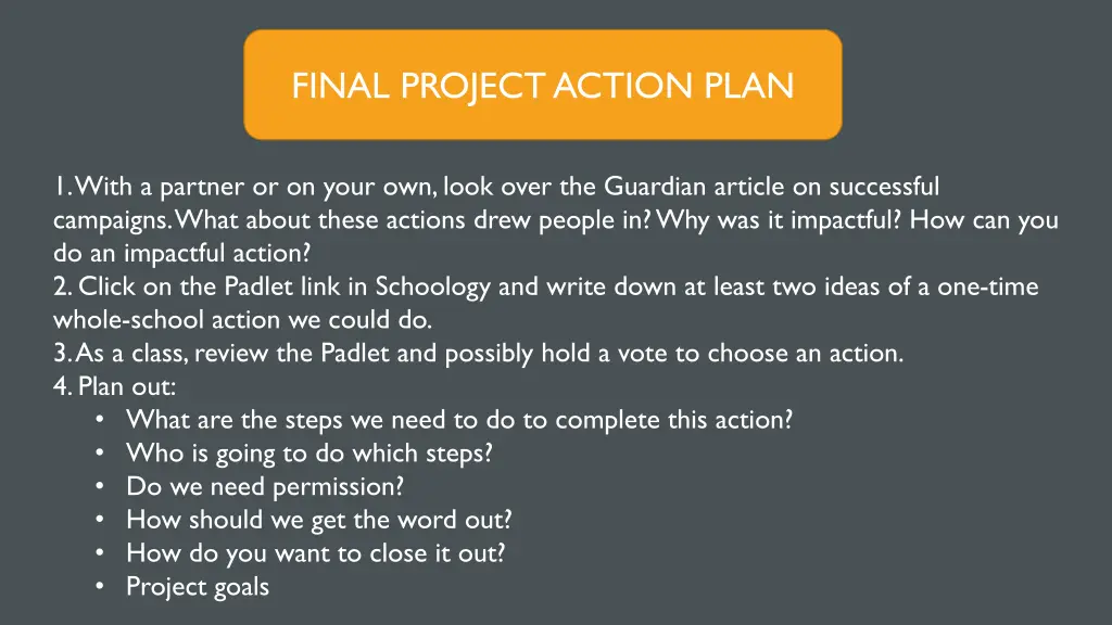 final project action plan