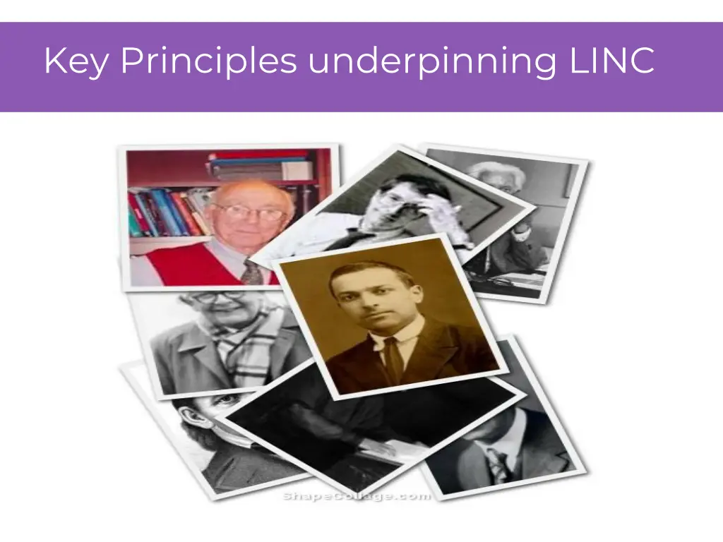 key principles underpinning linc