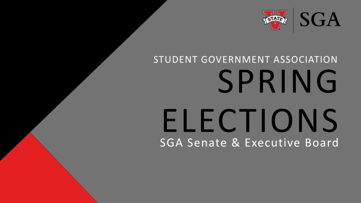 student government association spring elections