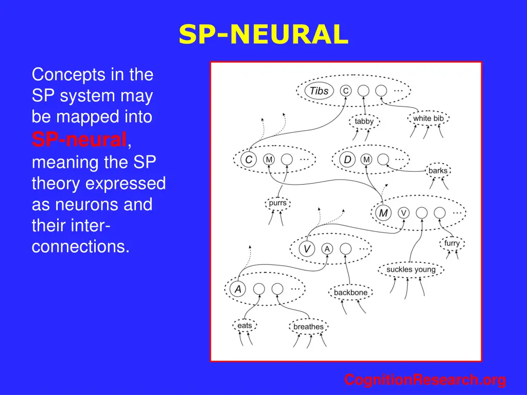 sp neural