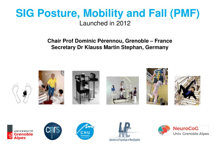 sig posture mobility and fall pmf launched in 2012