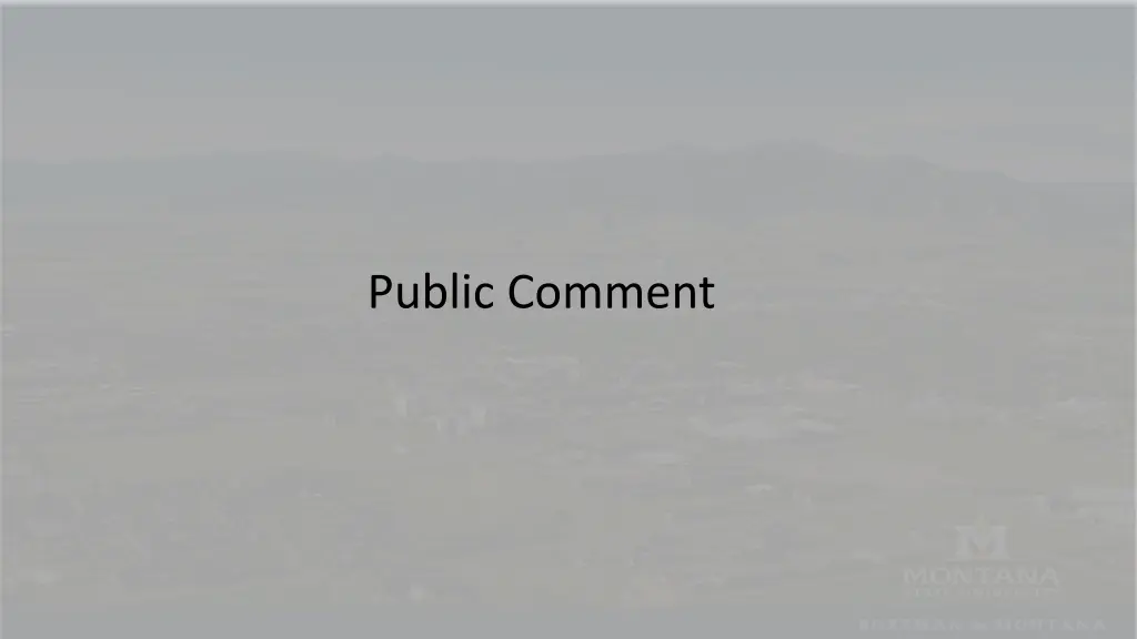 public comment