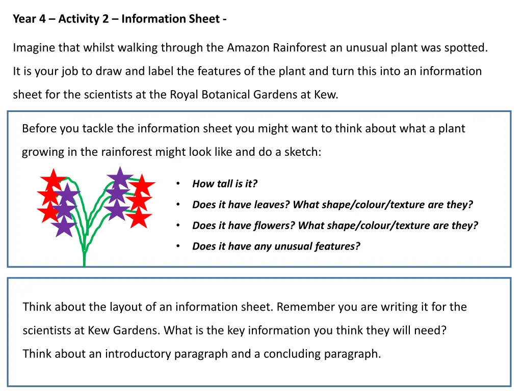 year 4 activity 2 information sheet