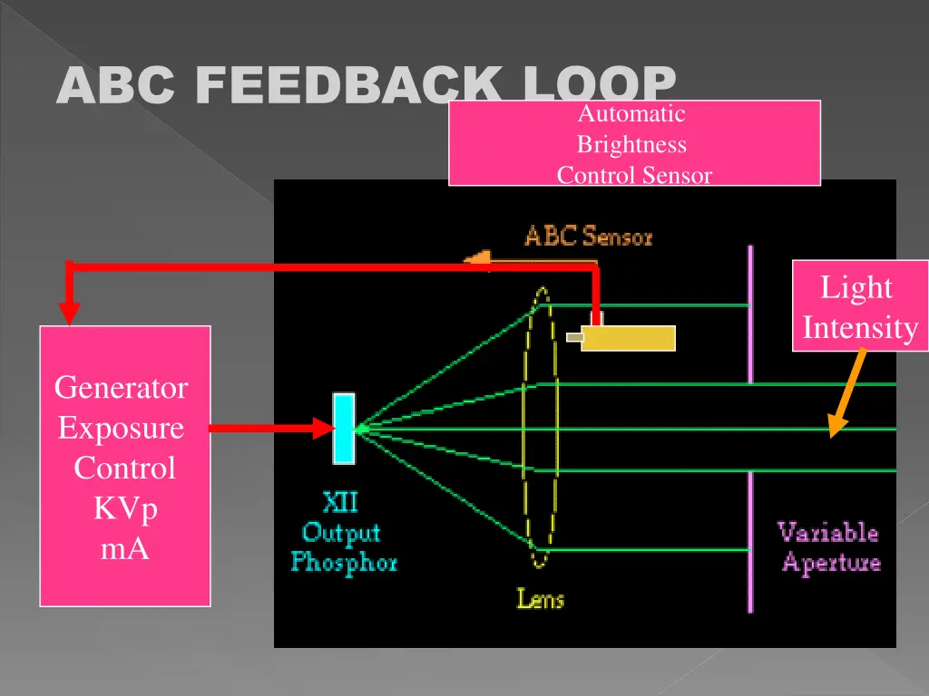 abc feedback loop