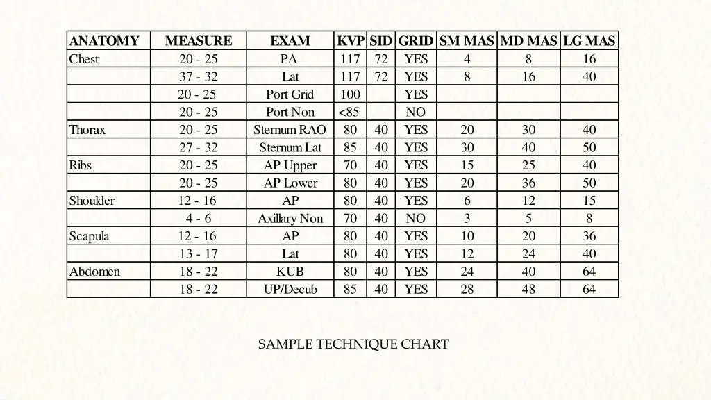 anatomy