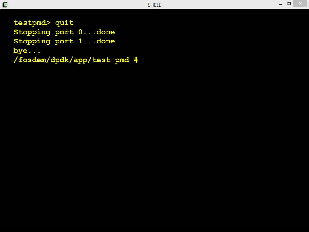 testpmd quit stopping port 0 done stopping port