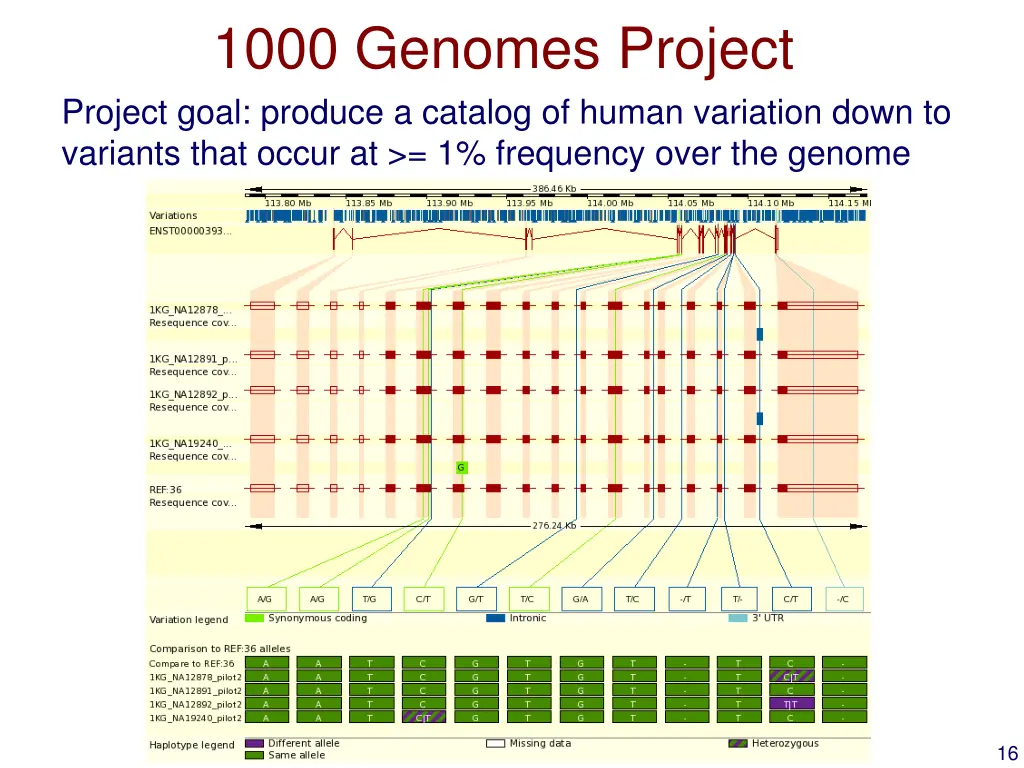 1000 genomes project project goal produce