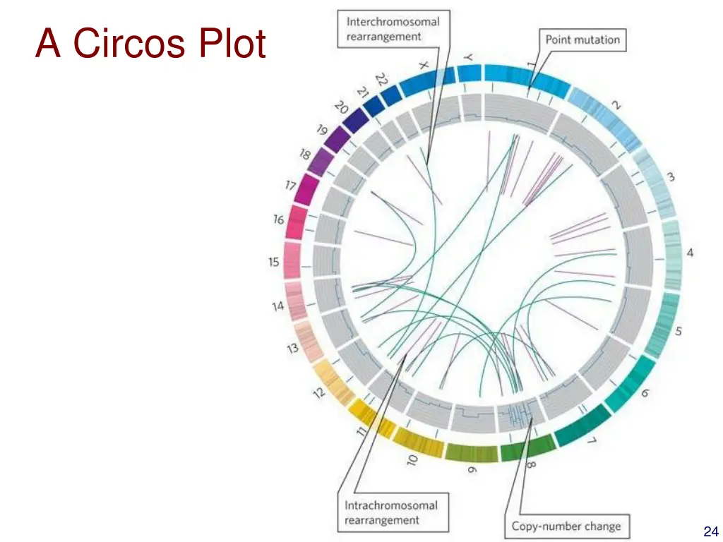 a circos plot