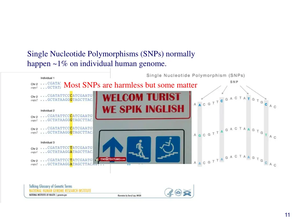 after reading our genomes we find differences