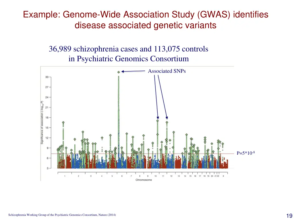 example genome wide association study gwas