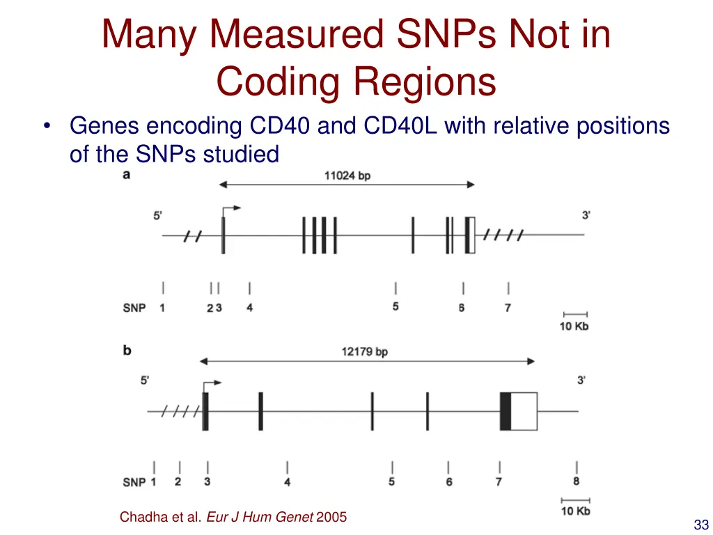 many measured snps not in coding regions genes