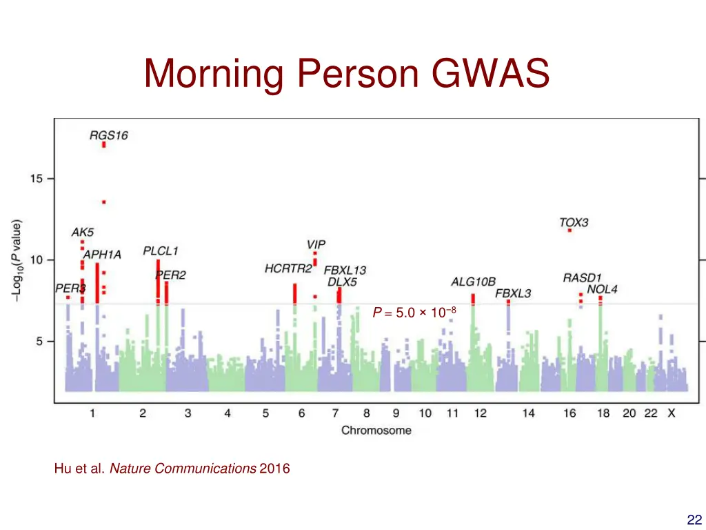 morning person gwas