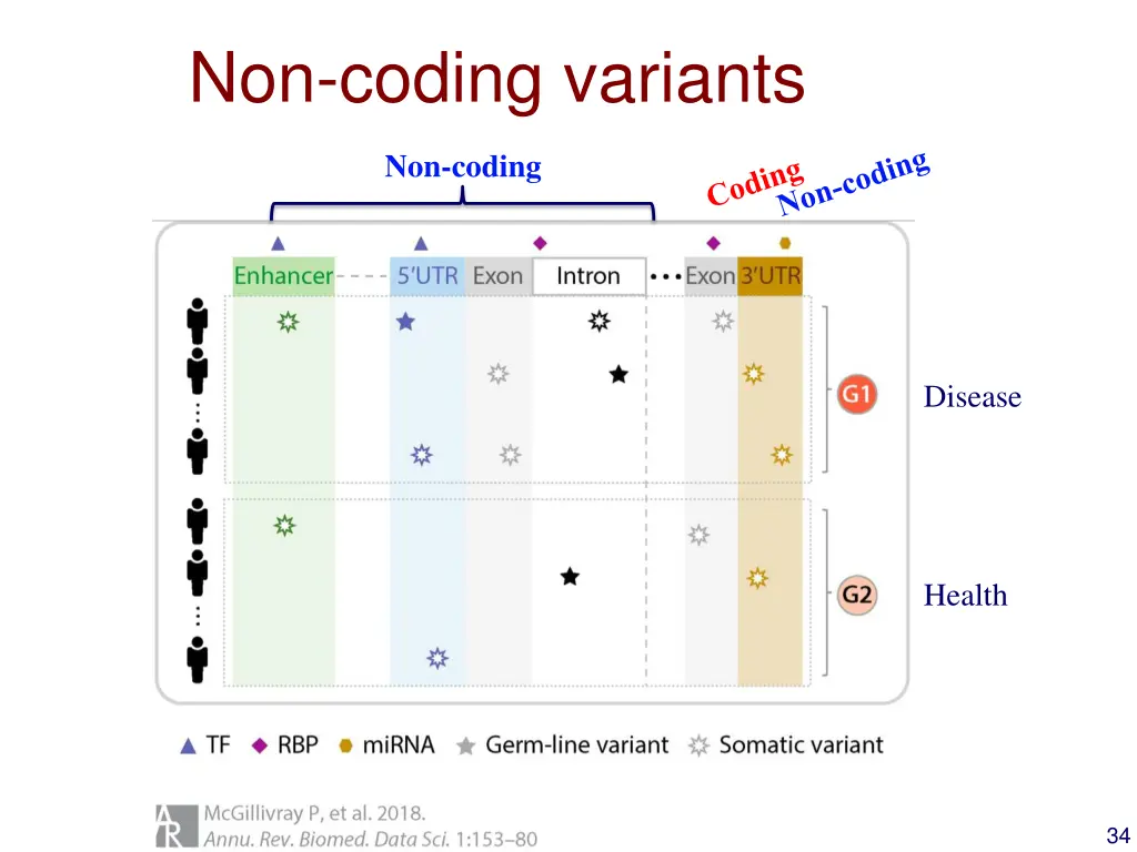 non coding variants