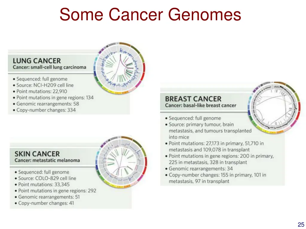 some cancer genomes